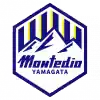 山形山神